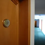 Hotel Ochsen Friesenheim (Baden-Wurttemberg)