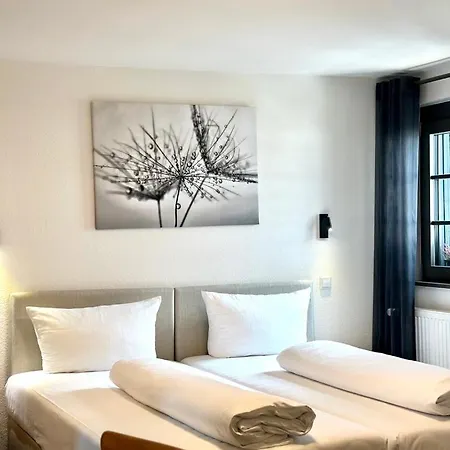 Ochsen Hotel Friesenheim (Baden-Wurttemberg)