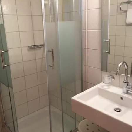 Hotel Ochsen Friesenheim (Baden-Wurttemberg)