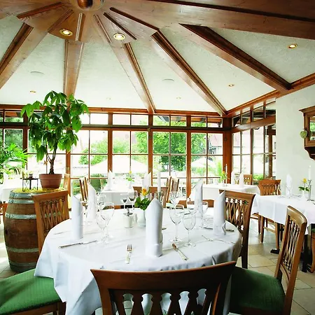 Hotel Ochsen Friesenheim (Baden-Wurttemberg)