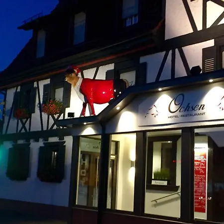 Hotel Ochsen 3*