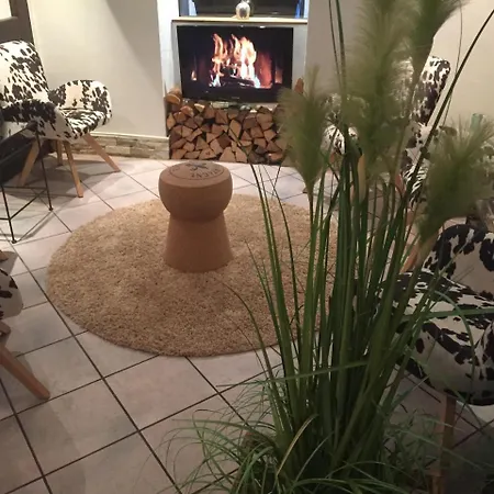 Hotel Ochsen Friesenheim (Baden-Wurttemberg)